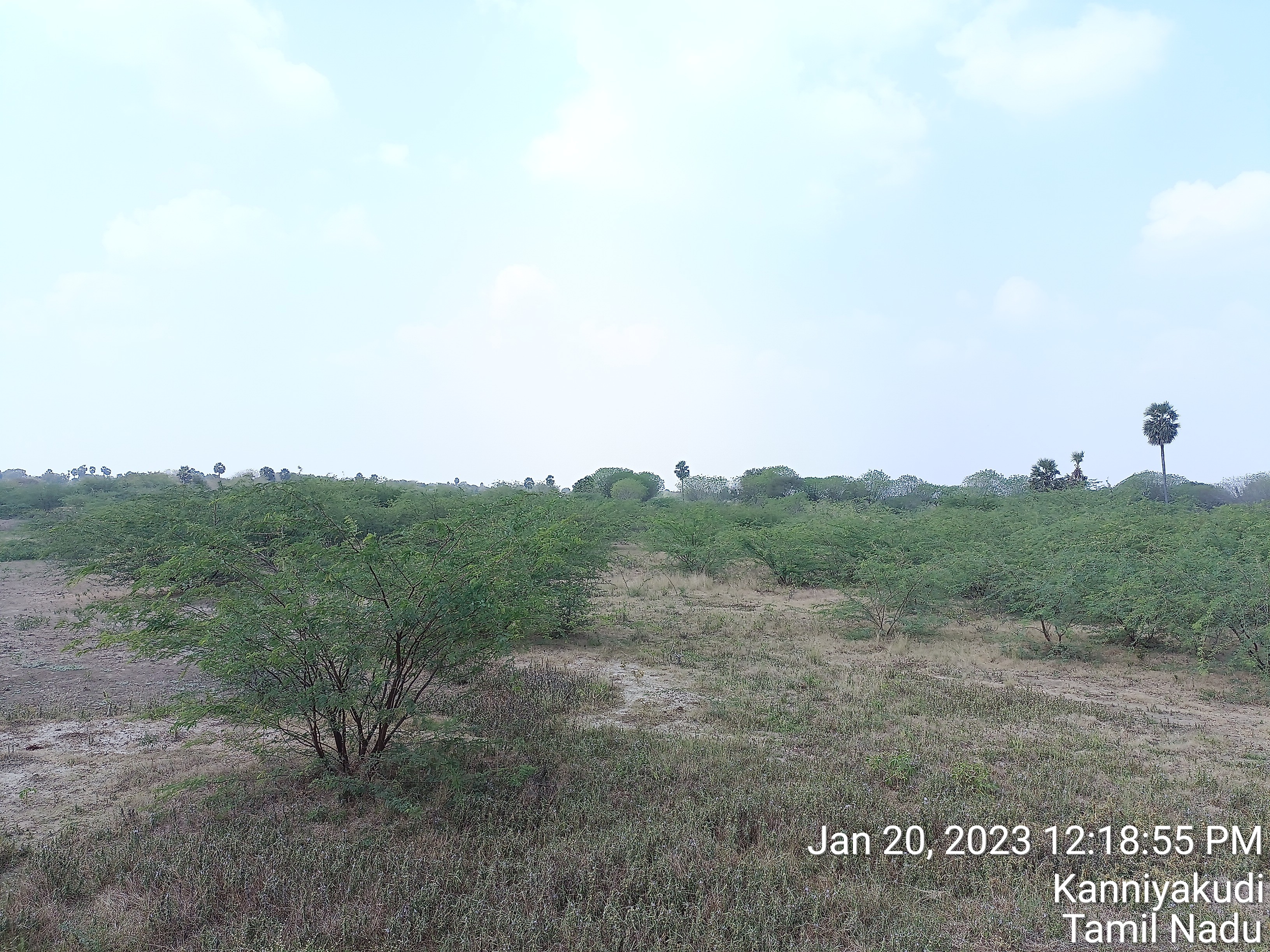 TimePhoto_20230120_121855.jpg